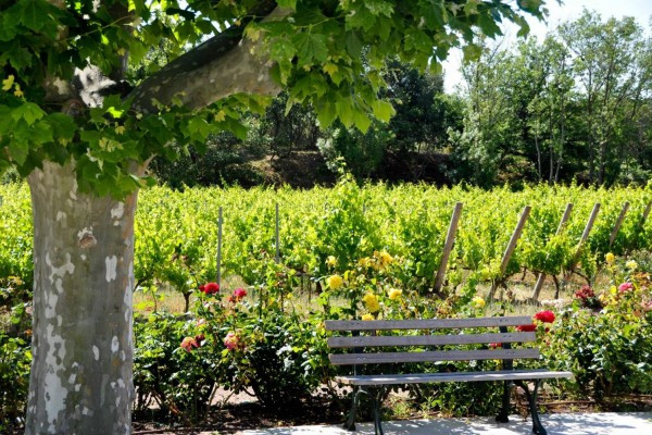 Le Clos des Roses - Domaine visit