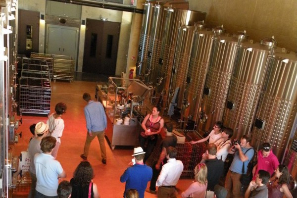 Le Clos des Roses - Winery visit