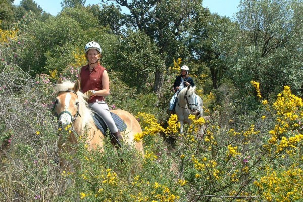 Les 3 Fers - horse riding around the mimosa