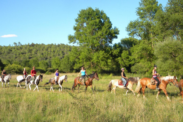 horseback ride to discover the lake of saint cassien - Les poun's en herbe