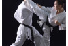 Karate in Köln - Monatskarte