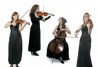 Damenstreichquartett in Chemnitz