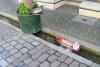 Bächle, Schlößle, Münster per Rad