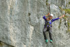 Flying-Fox-Alpin