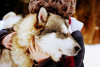 Huskywanderung