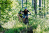Mountainbike Tour im Oberharz für Einsteiger (Level 1)