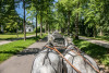 Kleine Allee und Stadt Tour