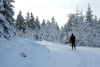 Halbtages Langlaufkurs Nordic-Cruising
