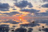 Nationalpark-Wattwanderung: Klimawandel im Wattenmeer