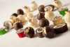 Pralinen-Seminar Hobby in Passau