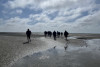 Nationalpark-Wattwanderung: Zur Insel Norderney