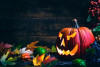 Halloween für Kinder in Köln mit Geisterüberraschung