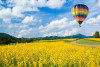 Ballonfahrt über Koblenz