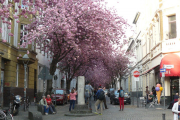Sanierung in der Nordstadt – Der Wandel zur „Altstadt“