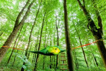 Baumzeltübernachtung "Träumen in den Bäumen"
EifelAdventures, Berlingen