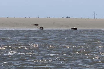 Segeltörn Bremen-Bremerhaven, Übernachtung & Retour