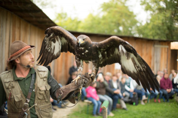 Falkenhof ohne Flugschau