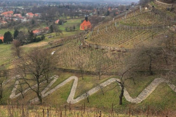 WeinWanderung Pillnitz