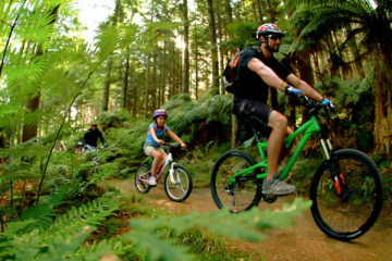 Bike mieten