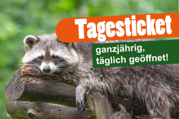 Wildpark Müden - Tageskarte