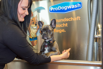 Profi SB-Hundewaschanlage: Wellness für deinen Hund