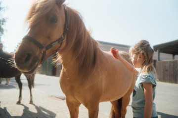 Ponyabenteuer in Barth