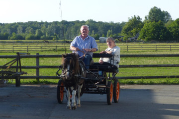 Ponykutschfahrten in Barth