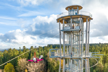 Black Forest Flying Fox