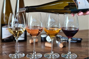 43 Geführte Tour durch die Weinberge im Elsass