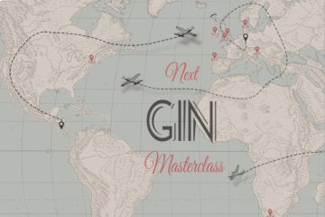GIN - Tasting (im DRY)