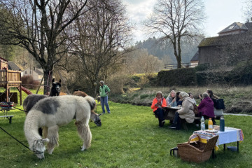 Schlemmerwanderung mit Lamas und Alpakas