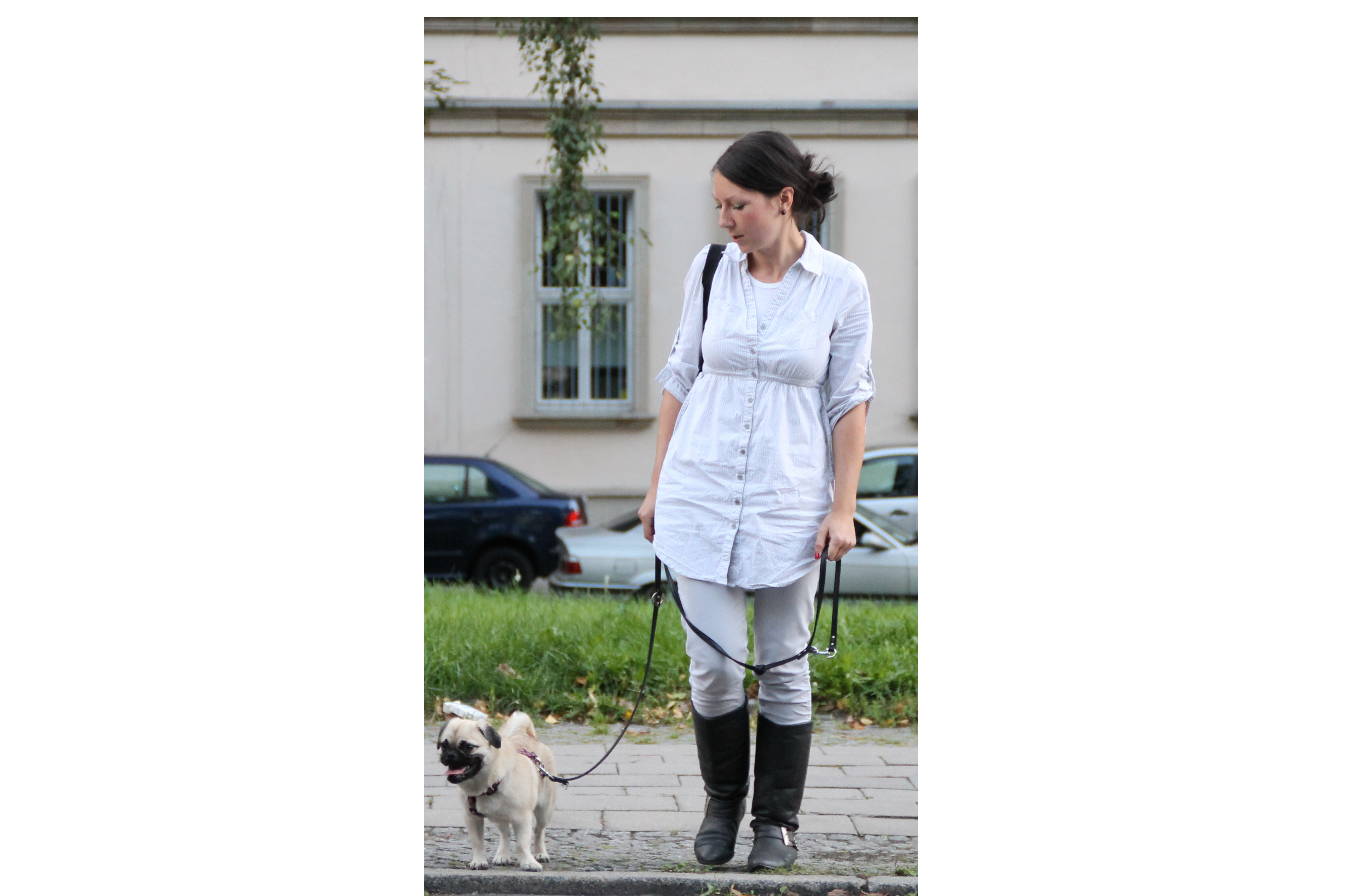 Hundeschule Hundeschule