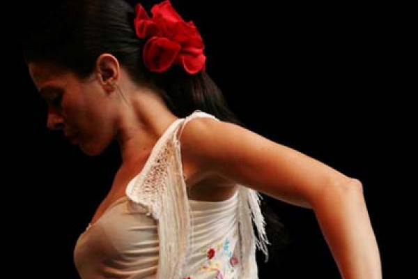 Flamenco Kurs