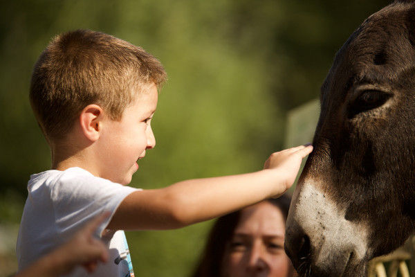 Tierpark Tierpark