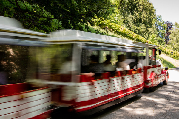 Bummelzug "Tratzberg-Express"