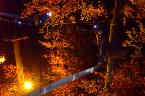 Ziplining by night
Hängebrücke I