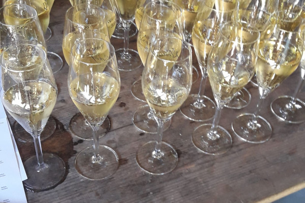 Sekt