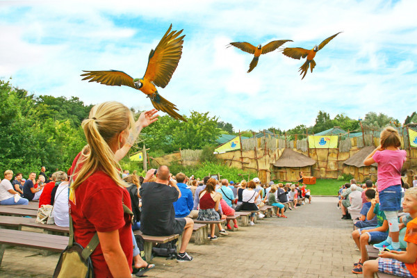 Tiershow: Papagei. Pelikan und Co. im Vogelpark Marlow Tiershow: Papagei. Pelikan und Co. im Vogelpark Marlow