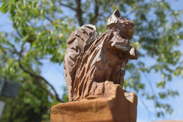 EifelAdventures Berlingen
Maskottchen Freddy