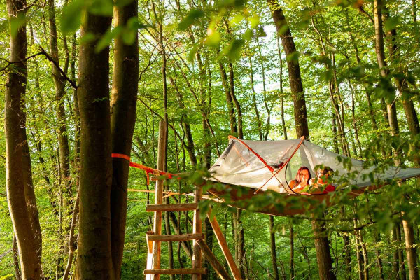 Baumzeltübernachtung Träumen in den Bäumen NATUR PUR
EifelAdventures Berlingen