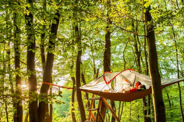 Baumzelt-Abenteuer für 2
EifelAdventures Berlingen