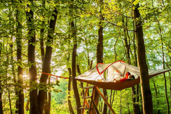 Baumzeltübernachtung "Träumen in den Bäumen"
EifelAdventures, Berlingen