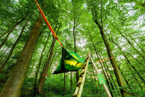 Baumzeltübernachtung "Träumen in den Bäumen"
EifelAdventures, Berlingen