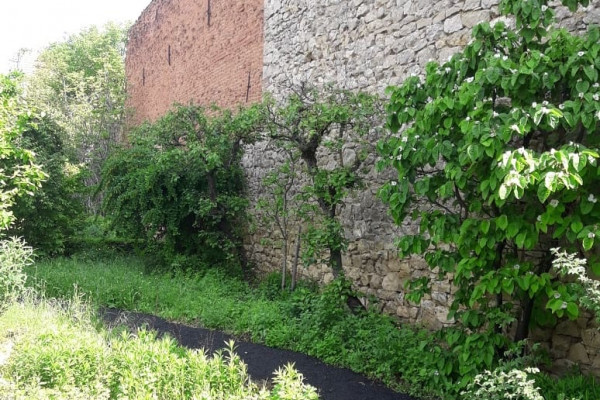 Wildgarten mit Obstbäumen