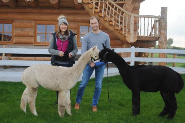 Alpakazucht Farm