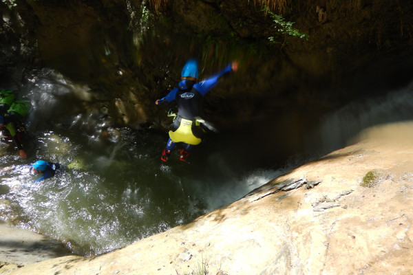 Springen