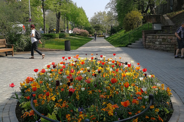 Wegstrecke durch den ehemaligen Stadtgraben