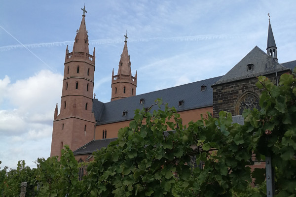 Hier wachsen die Weinreben für die Liebfrauenmilch - im Hintergrund die Liebfrauenkirche