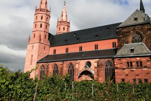 Liebfrauenkirche und die Reben davor