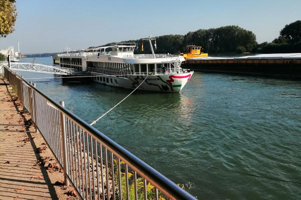 Flussschiffahrt am Rhein